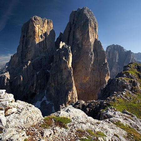 Rifugio Velo Della Madonna Otel San Martino Di Castrozza Dış mekan fotoğraf