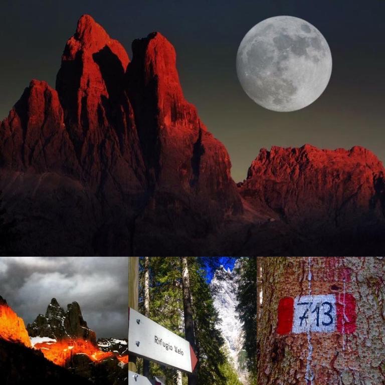 Rifugio Velo Della Madonna Otel San Martino Di Castrozza Dış mekan fotoğraf